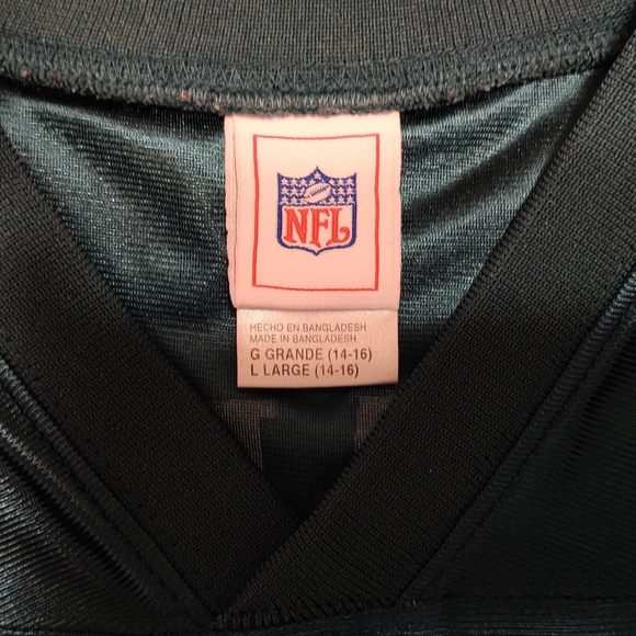 Youth Philadelphia Eagles Jersey - Picture 3 of 5